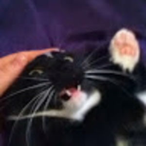 Meet your Posher, Becca